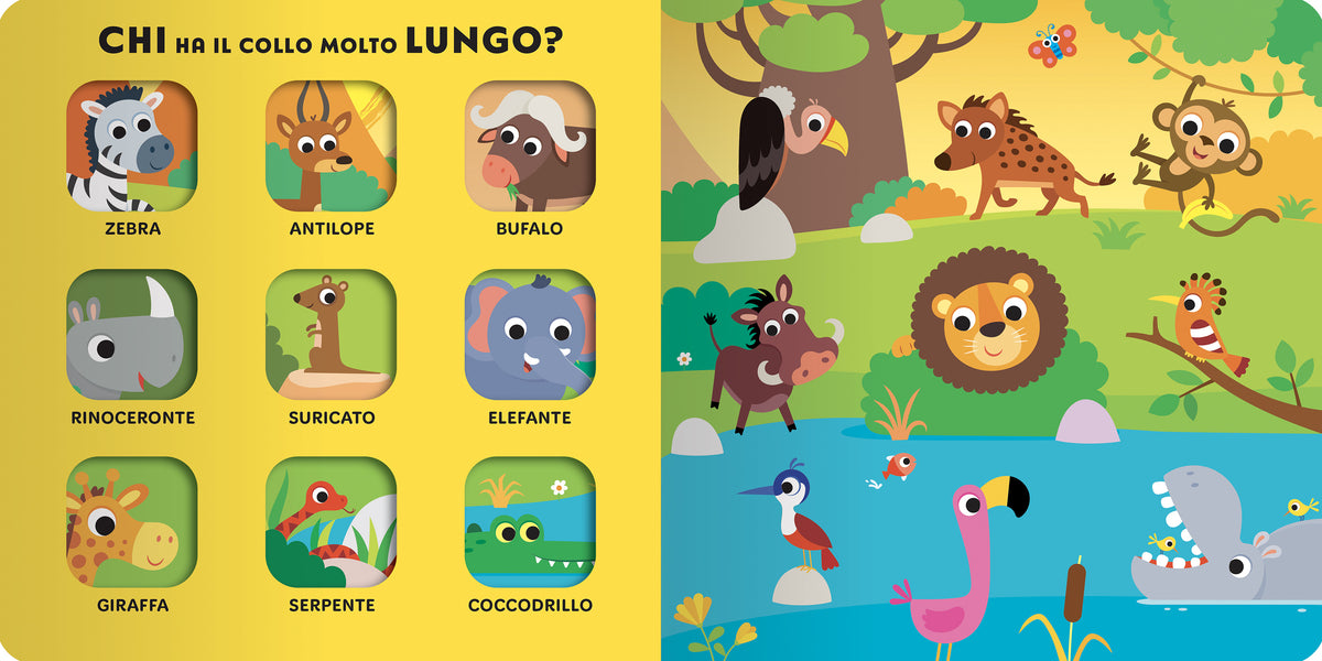 Tanti Animali da scoprire