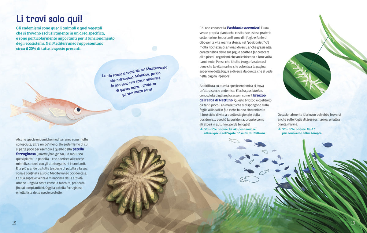 Cronache dal Mediterraneo. Storie biodiverse sotto le onde del mare