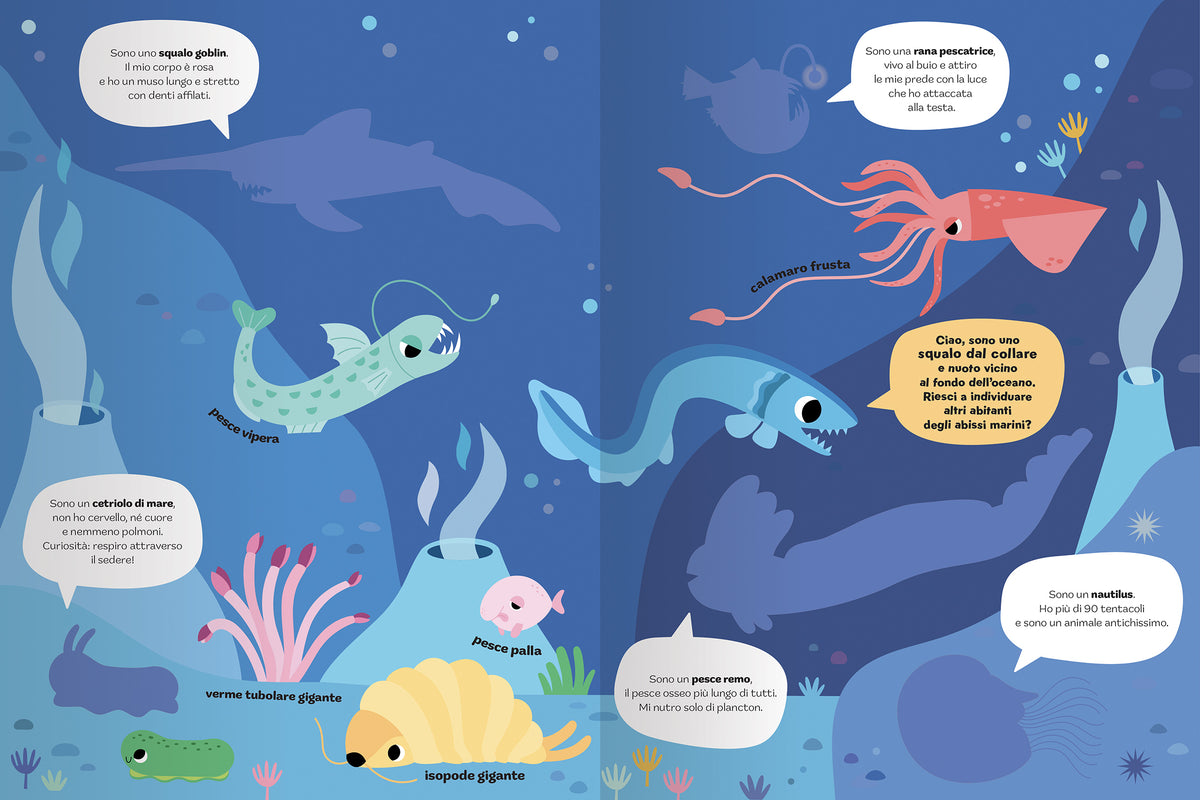 Animali del mare