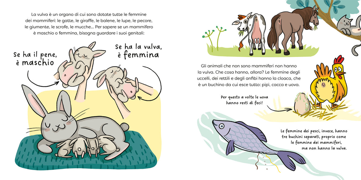 Farfallina? Si chiama vulva!. Per parlare con serenità e senza imbarazzo di sessualità con i bambini