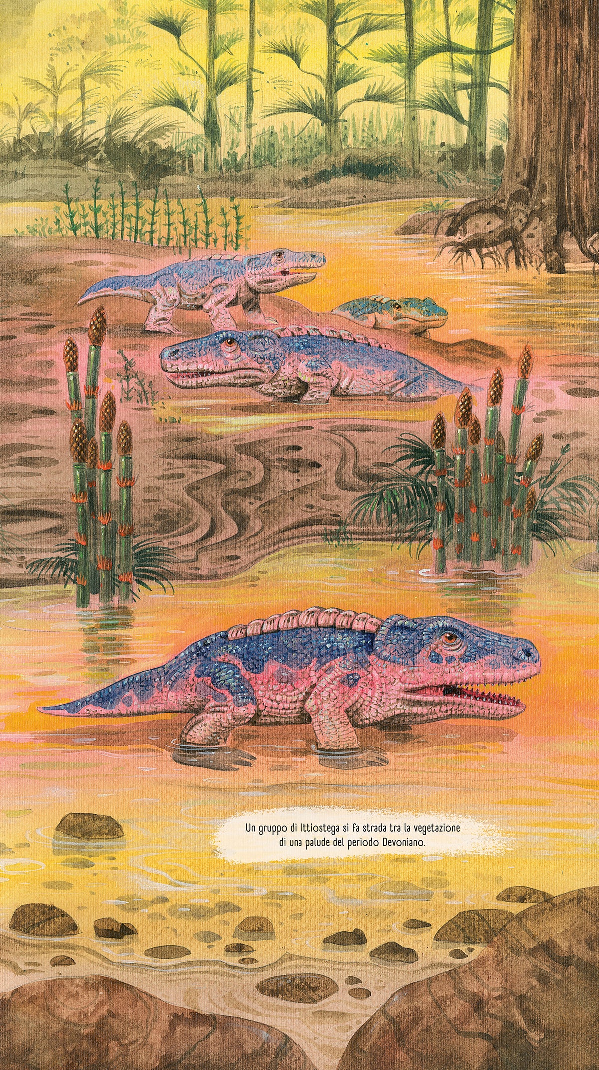 Il libro pop-up dei dinosauri