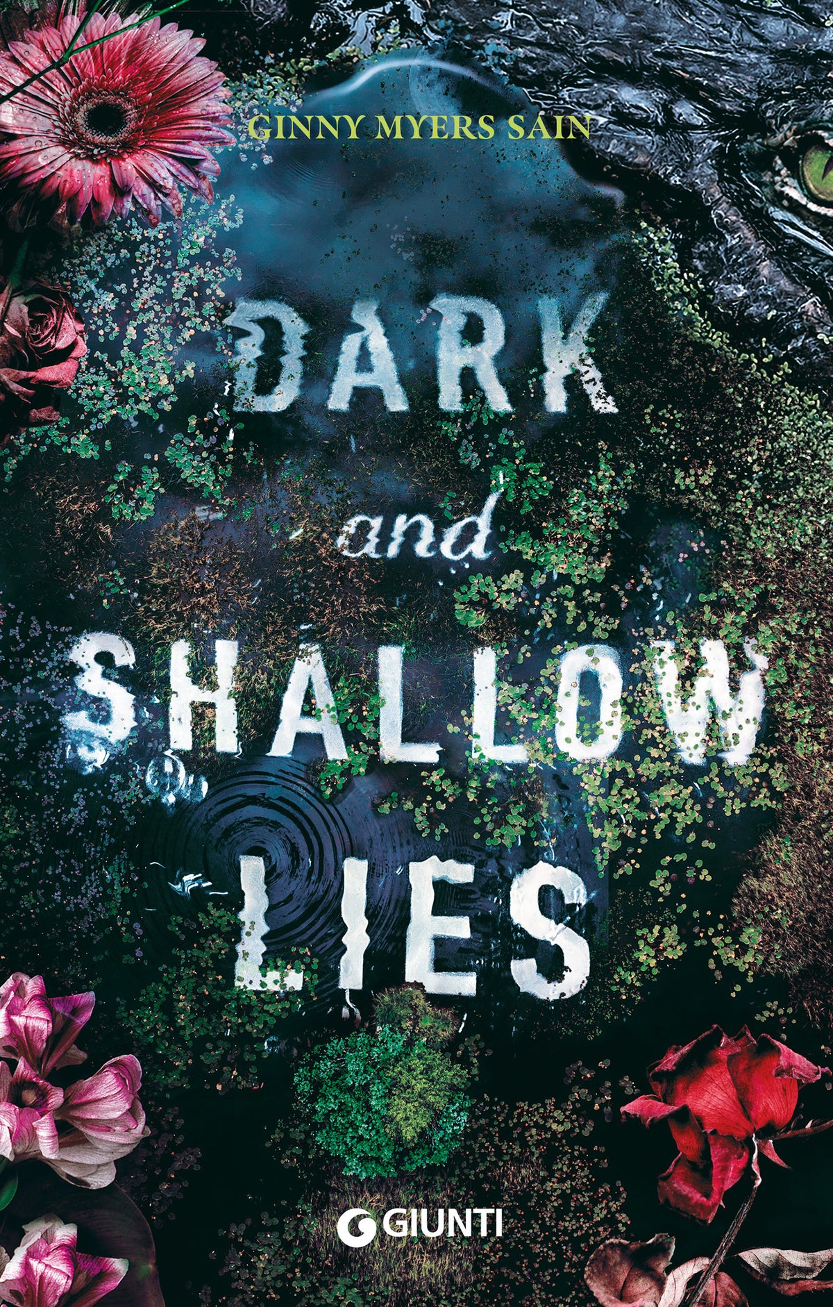Dark and Shallow Lies