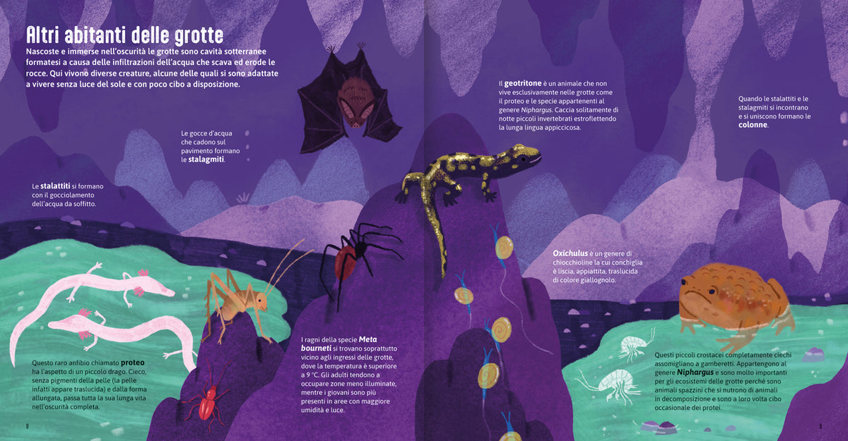 Case degli animali - Terra. Esplora gli habitat della ntura