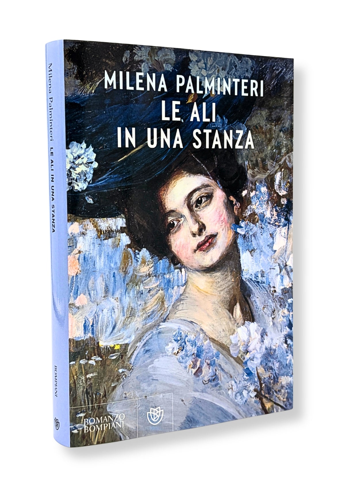 Le ali in una stanza