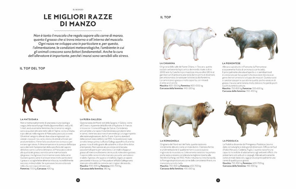 Il grande libro della carne. Tutte le razze, le provenienze, i tagli e le tecniche di cottura
