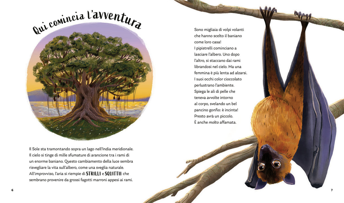 I segreti della notte. Storie della buonanotte per scoprire la natura