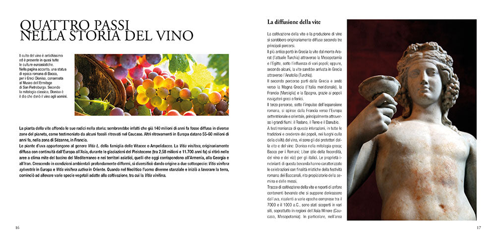 Manuale del sommelier