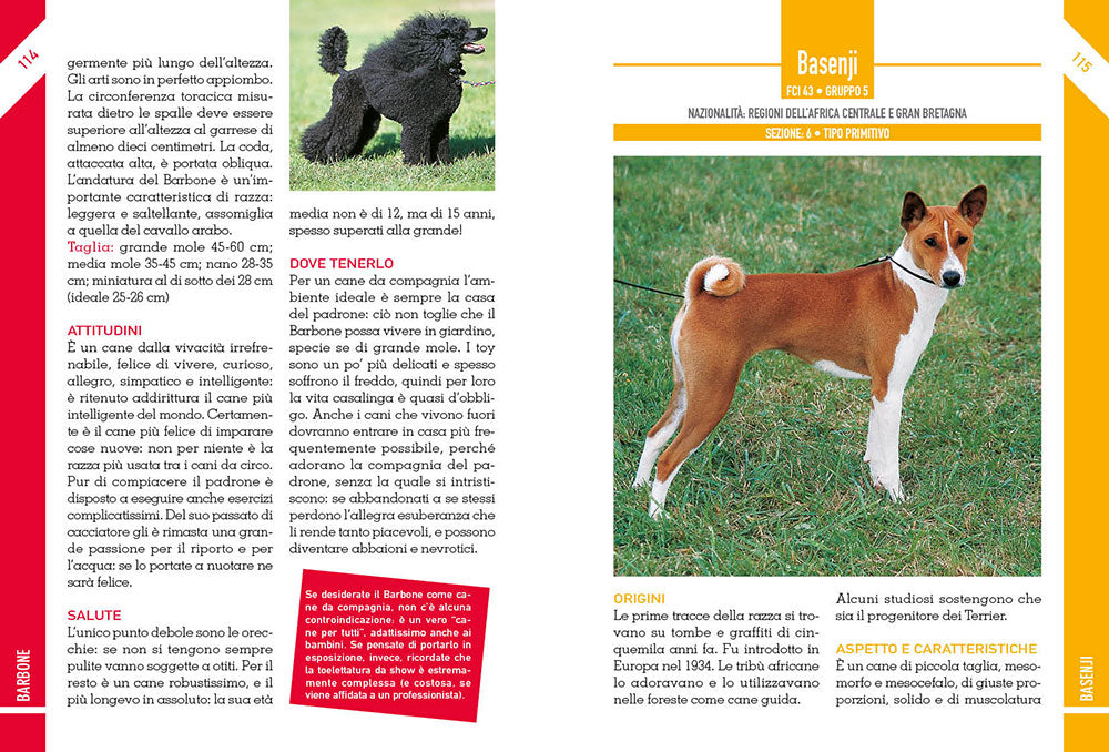 342 Cani di razza. caratteristiche fisiche e psicologiche • storia • attitudini • curiosità