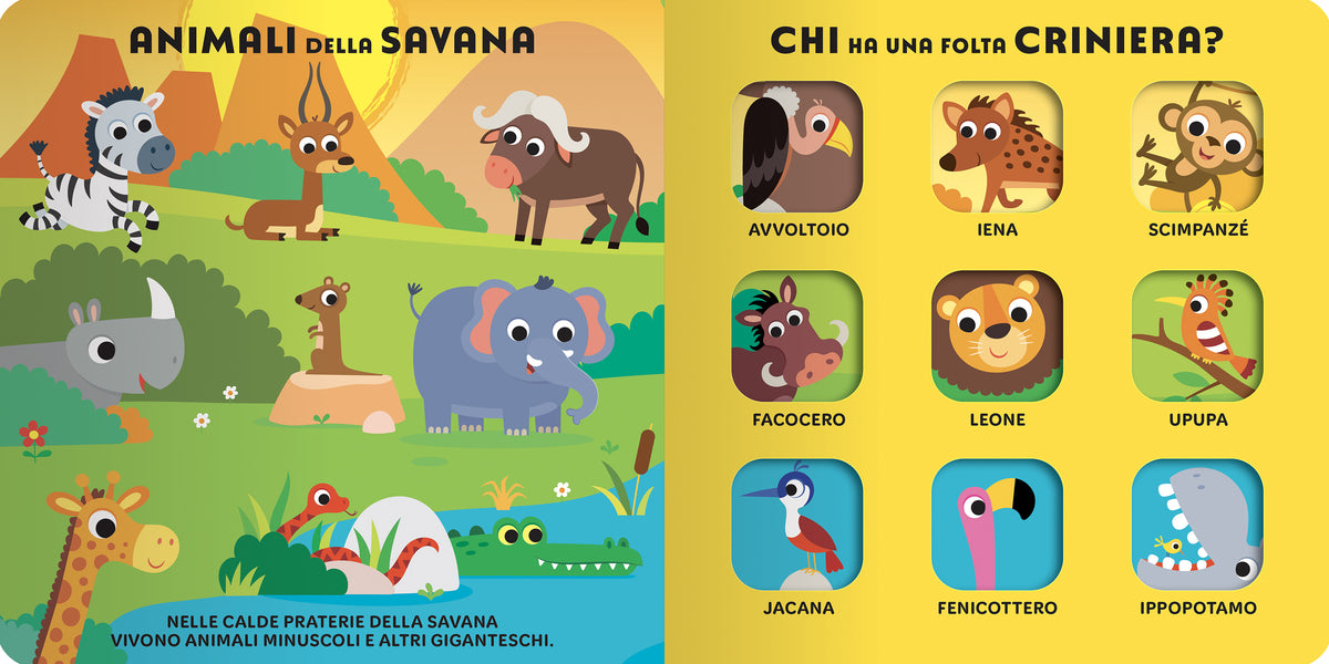 Tanti Animali da scoprire