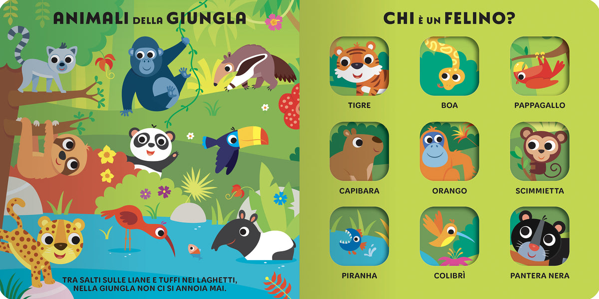 Tanti Animali da scoprire