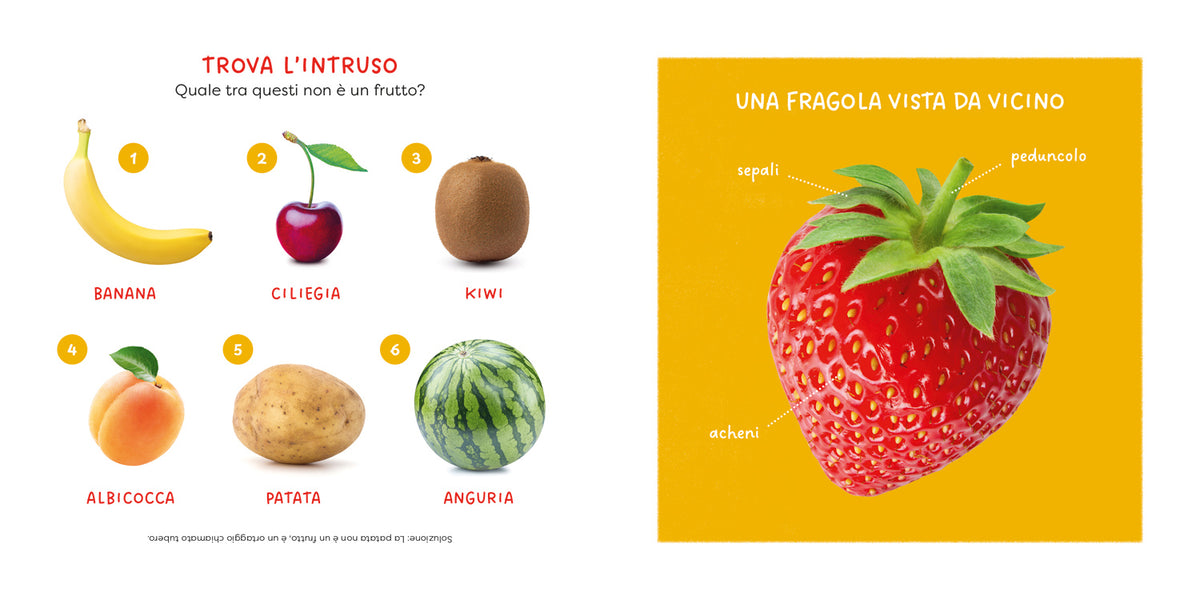 Fragola. un primo sguardo scientifico sul mondo naturale