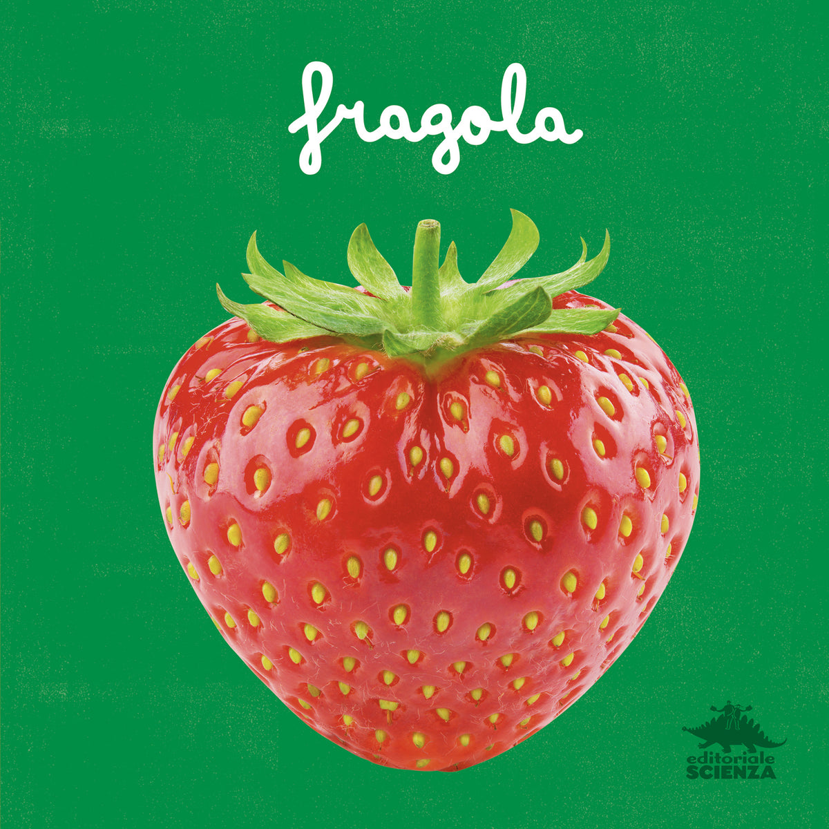 Fragola. un primo sguardo scientifico sul mondo naturale