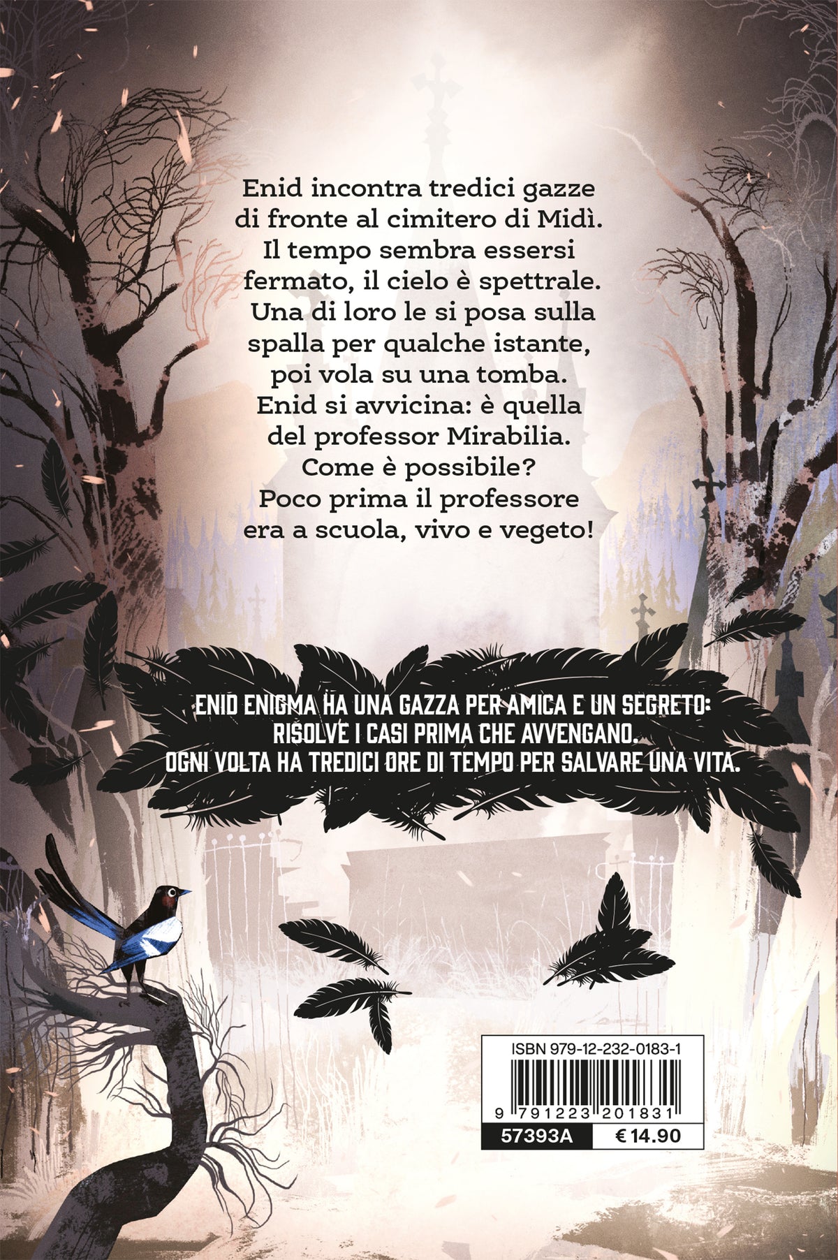Enid Enigma. Tredici gazze per un delitto