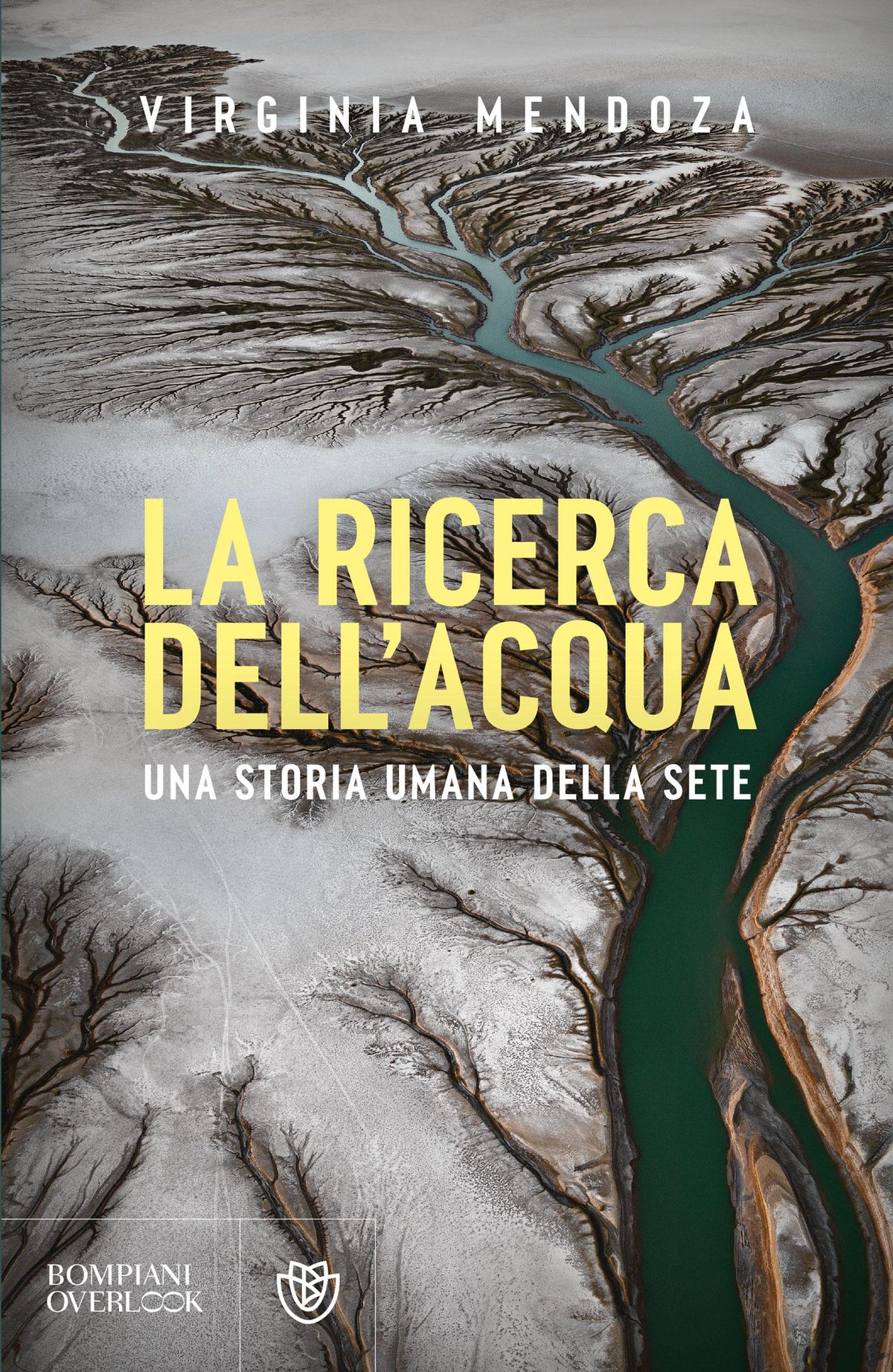 La ricerca dell'acqua. Una storia umana della sete