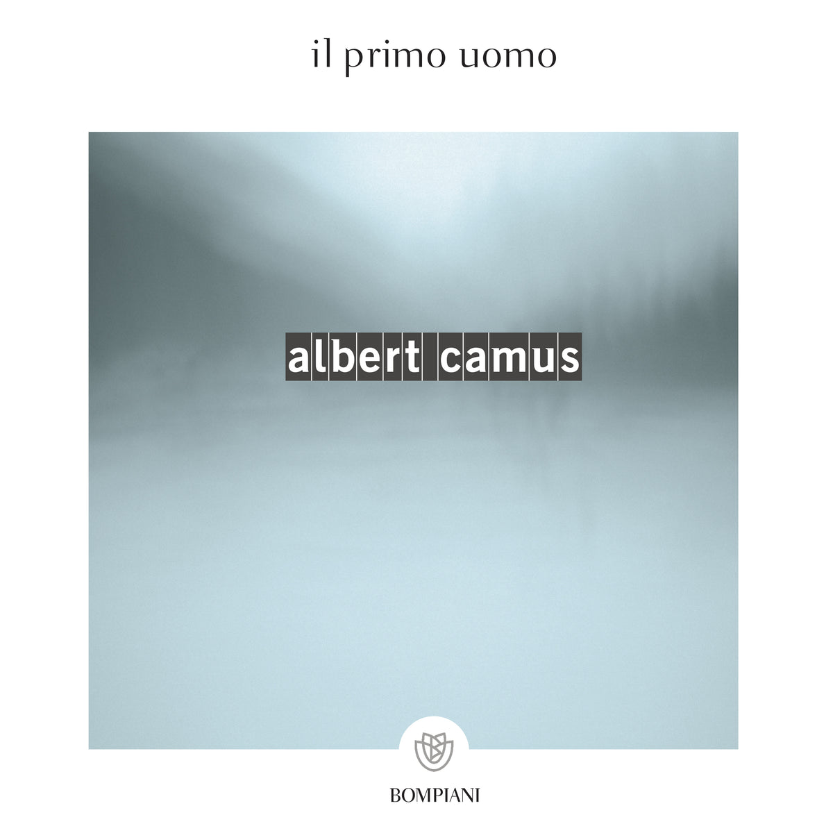 Il Primo Uomo Aud