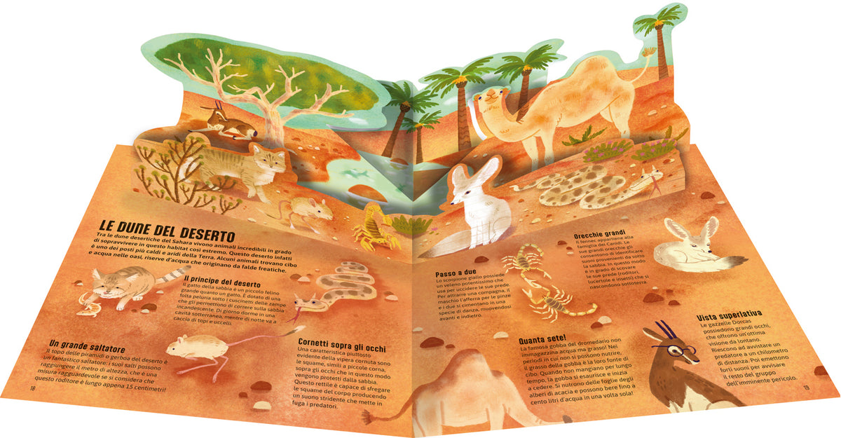Case degli animali - Terra. Esplora gli habitat della natura