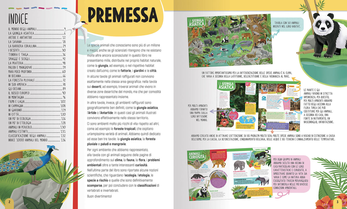 1000 Animali del mondo