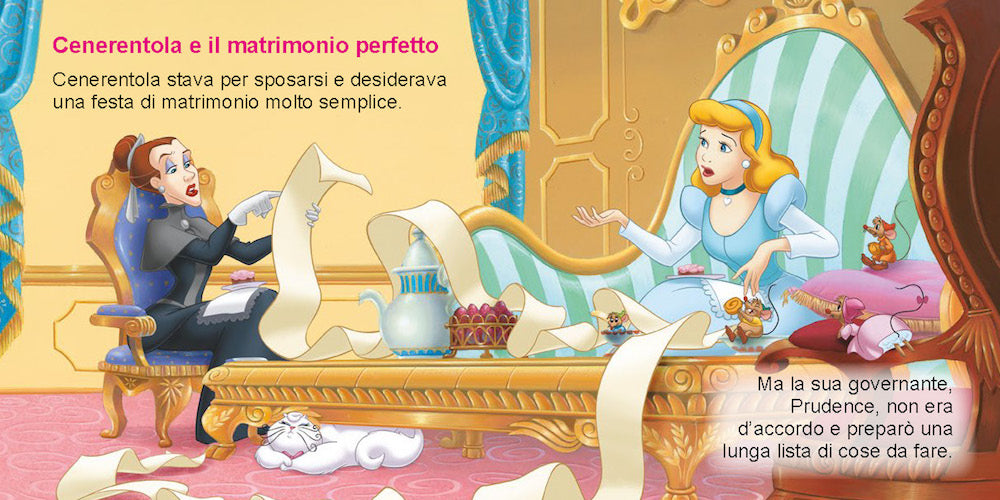 Disney Princess I Librottini