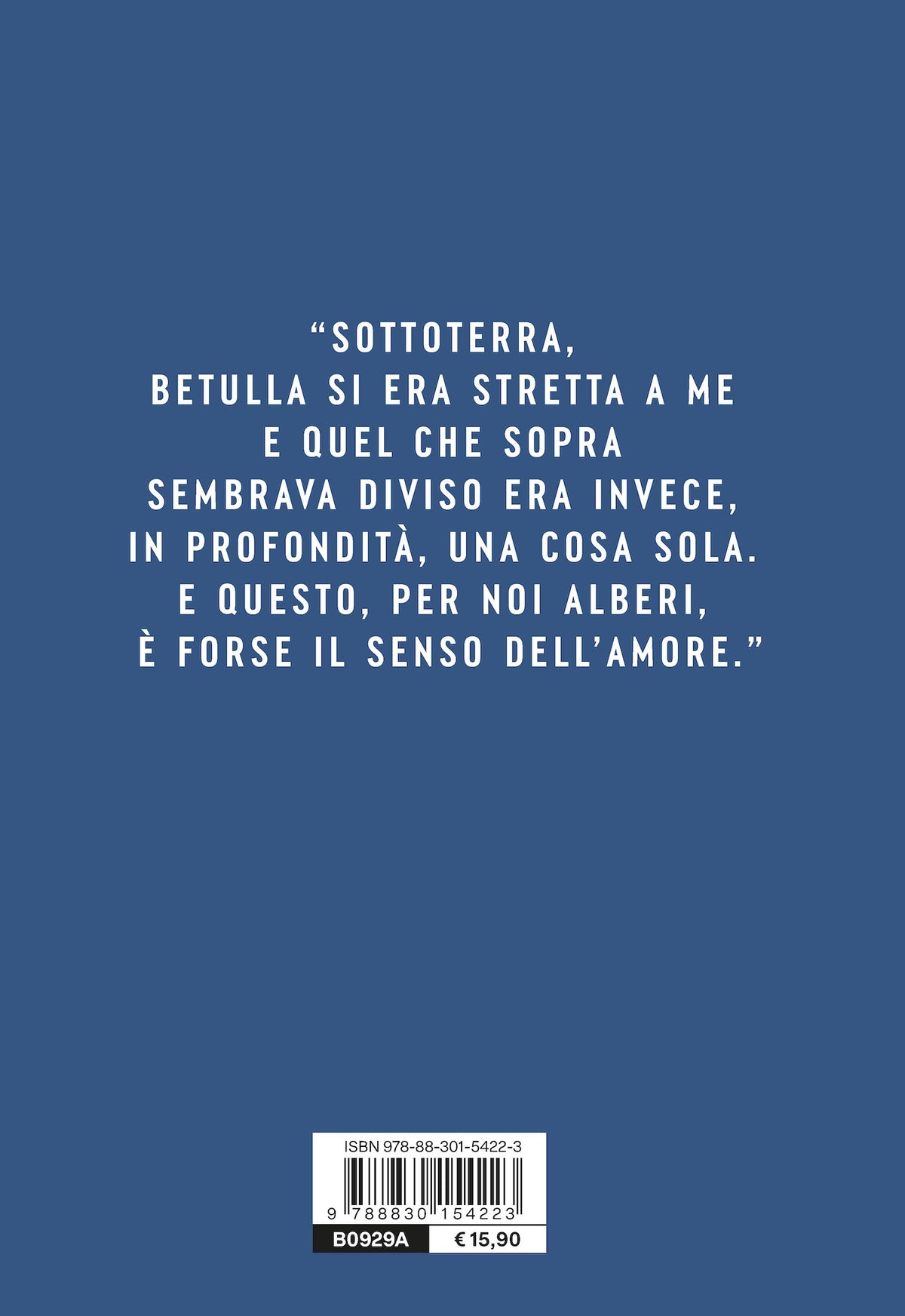 L'abete e la betulla. Storia di amore e di alberi