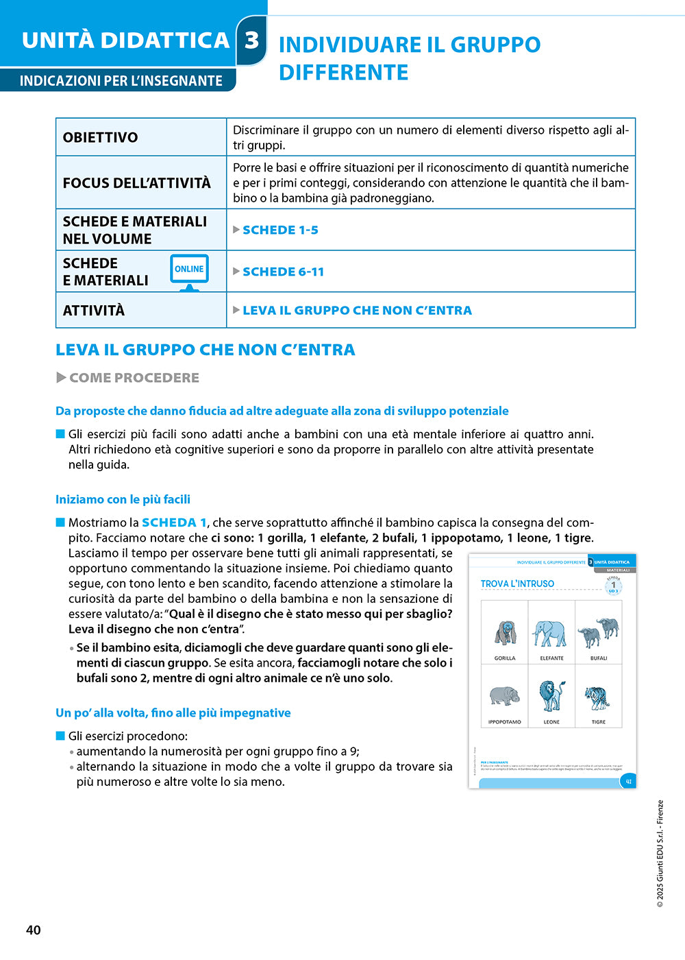 Come insegnare l'aritmetica a bambini e ragazzi con disabilità intellettiva. Un percorso didattico facilitato e graduale  per l’apprendimento dei primi calcoli