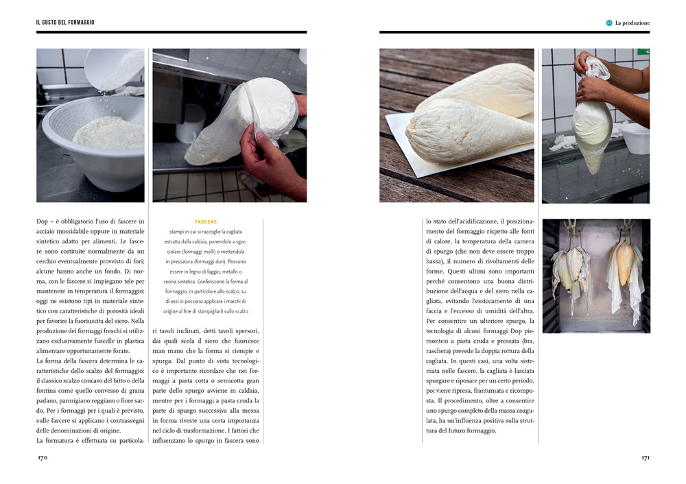 IL GUSTO DEL FORMAGGIO. CONOSCERE LE FORME DEL LATTE