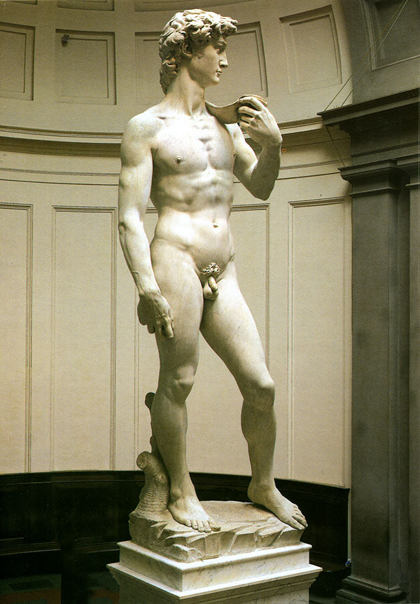 Cartolina. Firenze - Galleria dell'Accademia. David (1501-1504). dopo il restauro 2004
