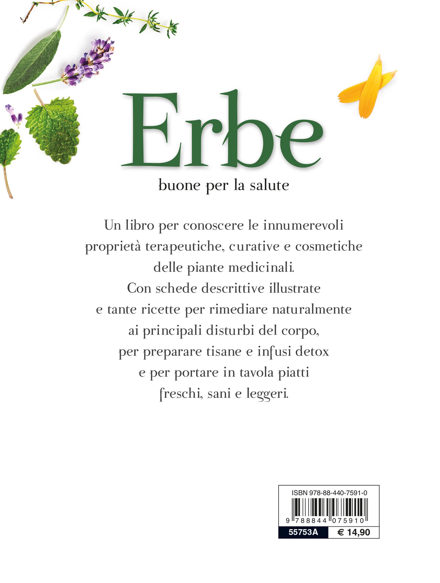 Erbe buone per la salute. Il ricettario completo