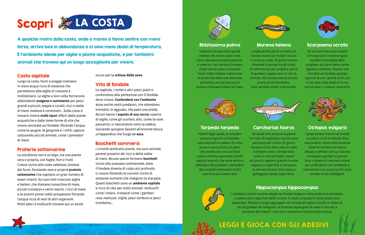 Il mare . Con più di 100 adesivi!