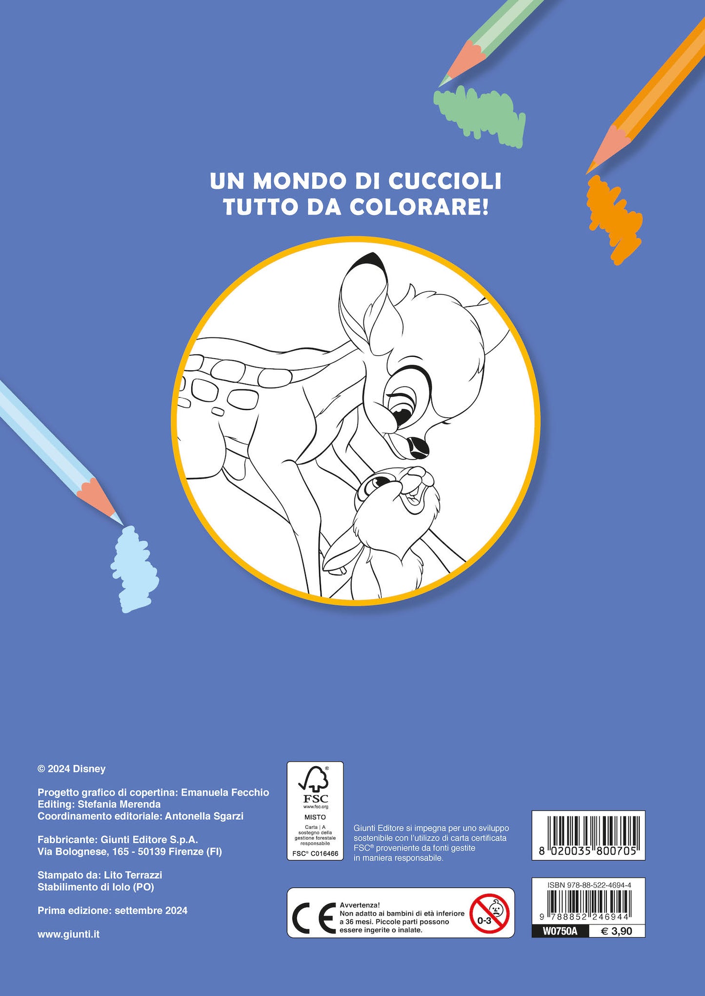 Cuccioli dal cuore d'oro Primo album da colorare Disney. Re Leone