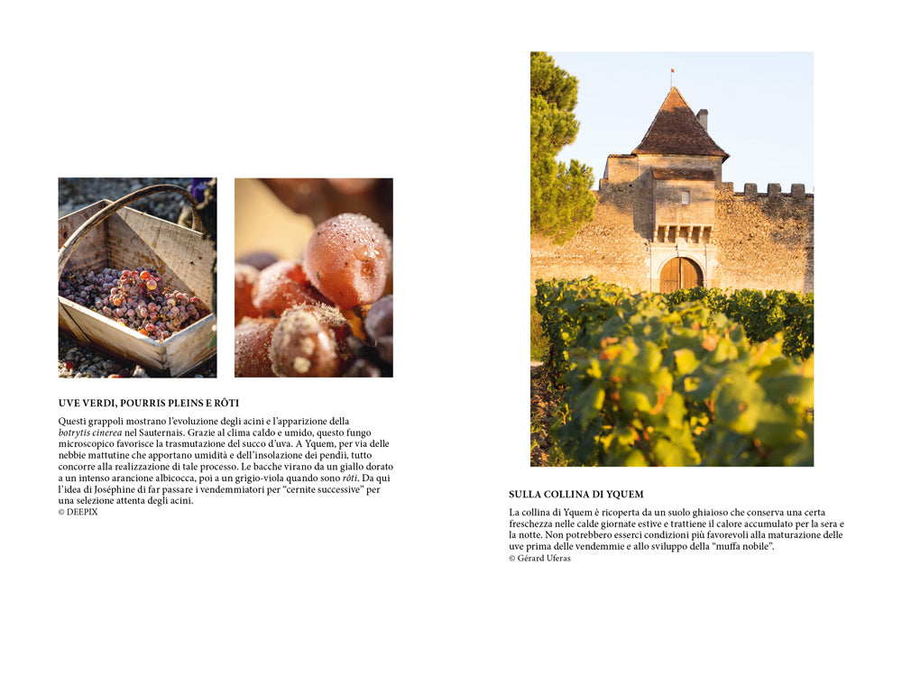 La ragazza delle meraviglie. L'incredibile storia di Joséphine D'Yquem