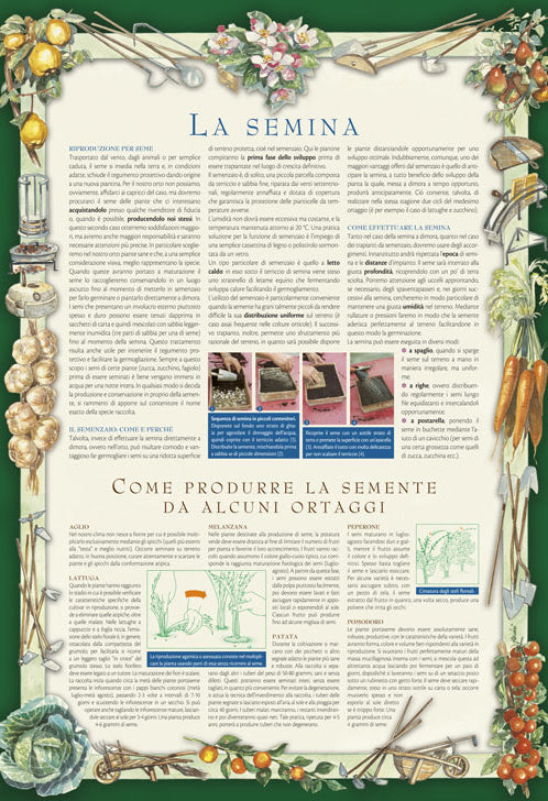 Calendario lunare 2020. 12 mesi di cose da fare