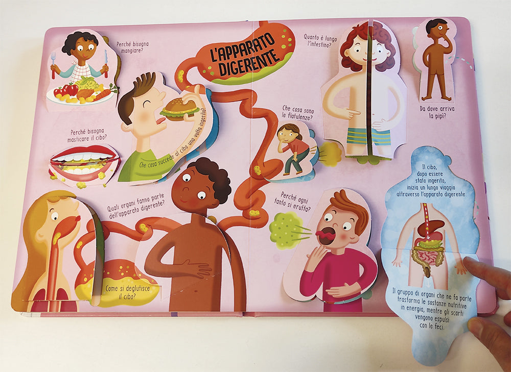 Il corpo umano. Solleva le alette e trova le risposte!