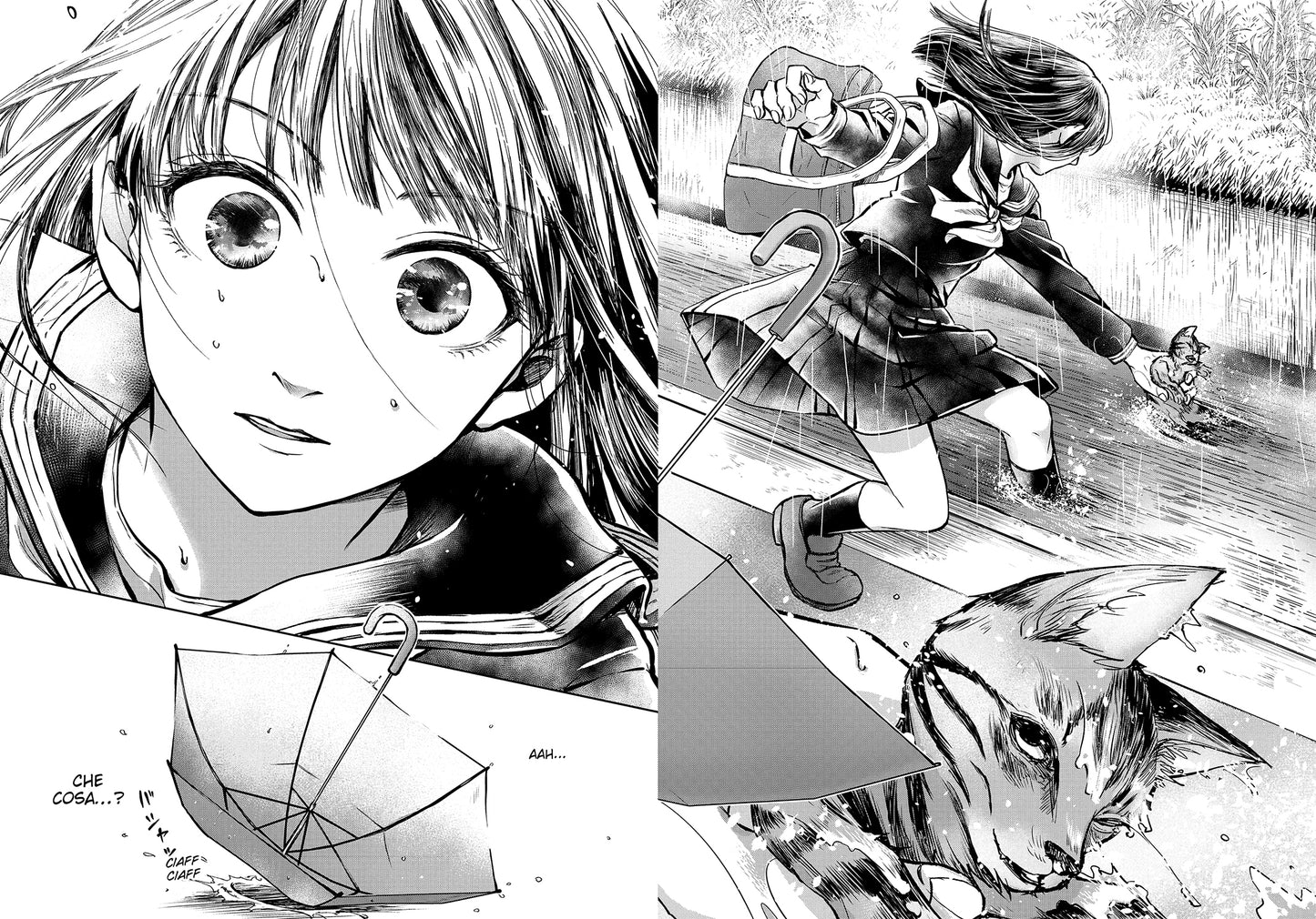 SONO UN GATTO, ANZI UN CANE