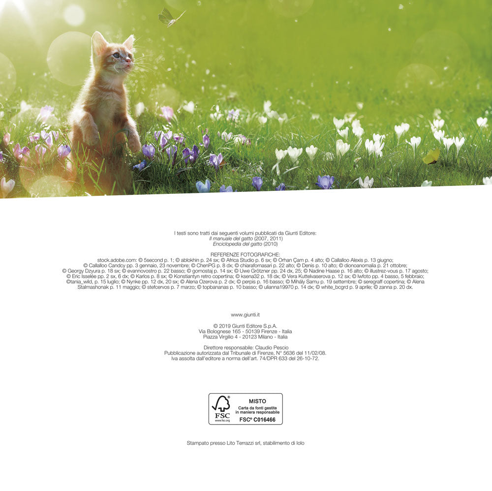 Gatti come noi - Calendario 2020