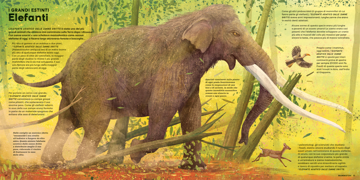 Mega. I più grandi animali di sempre!