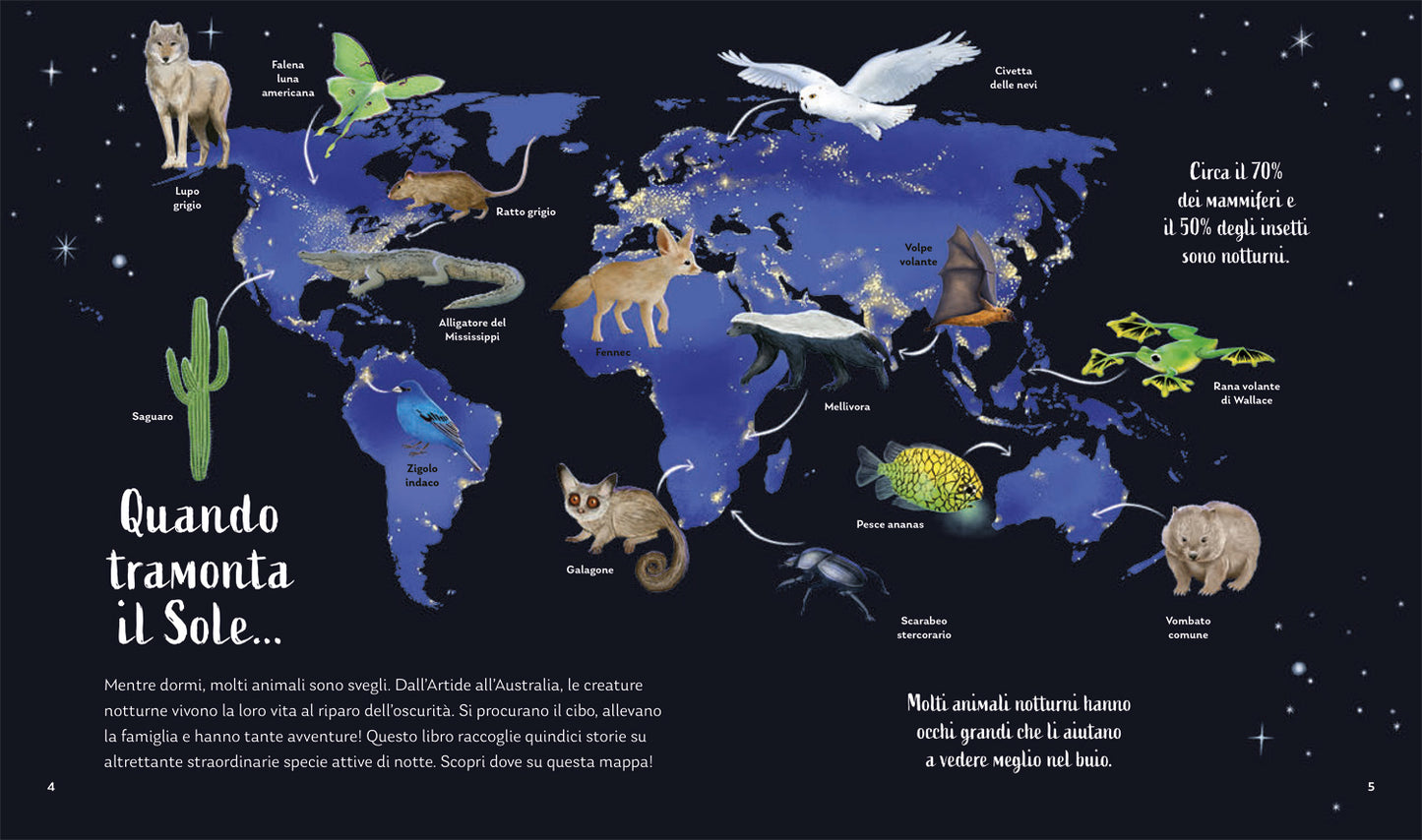 I segreti della notte. Storie della buonanotte per scoprire la natura