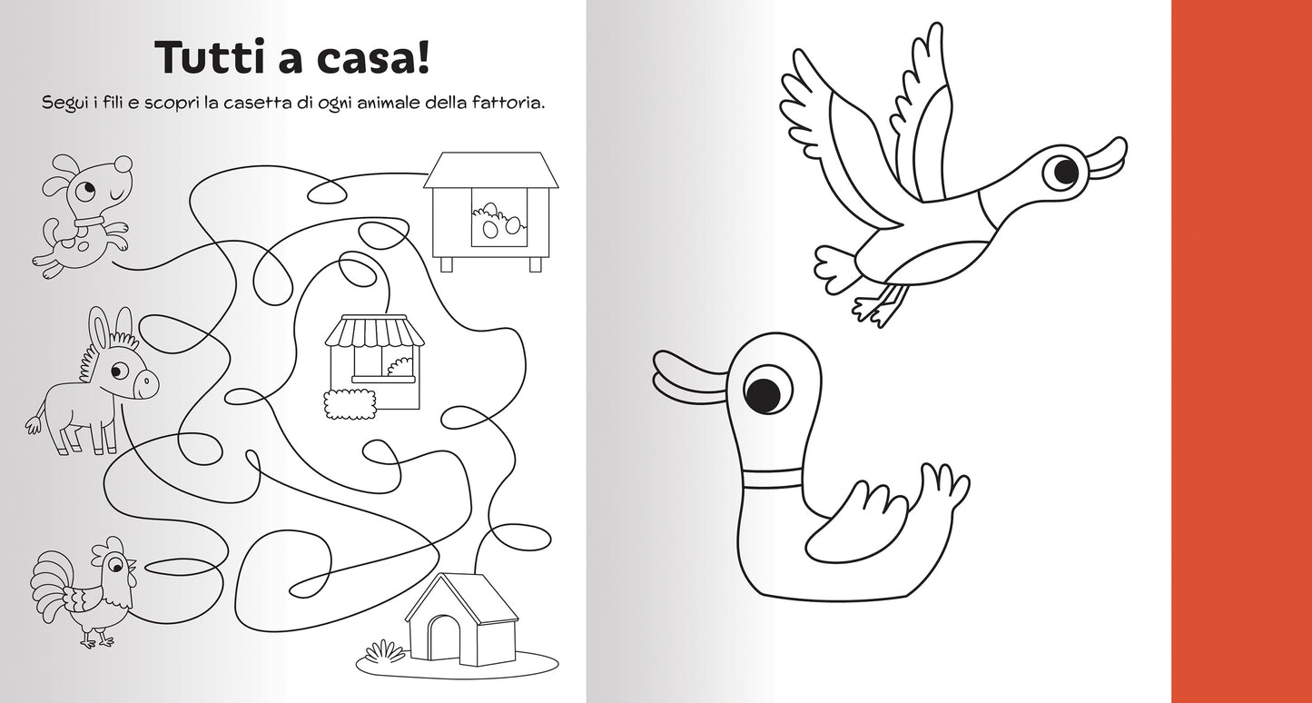 Magico Colore - Fattoria