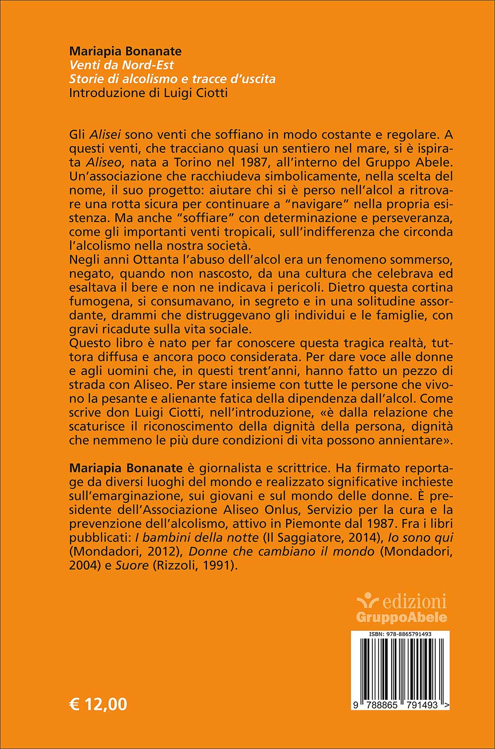 Venti da Nord Est. Storie di alcolismo e tracce d'uscita