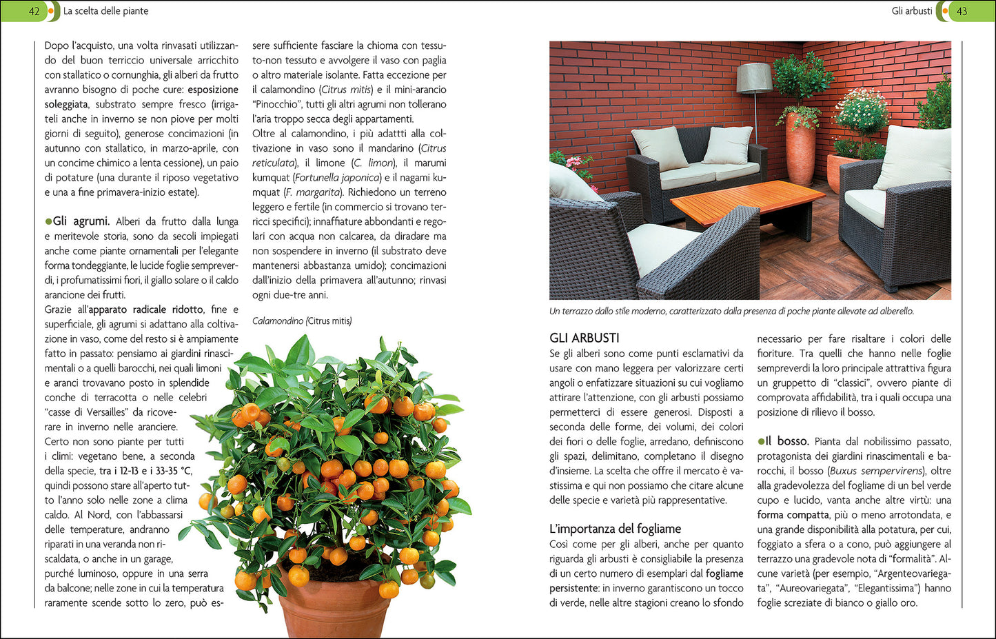 Giardino In Vaso Su Balcone Terrazzo