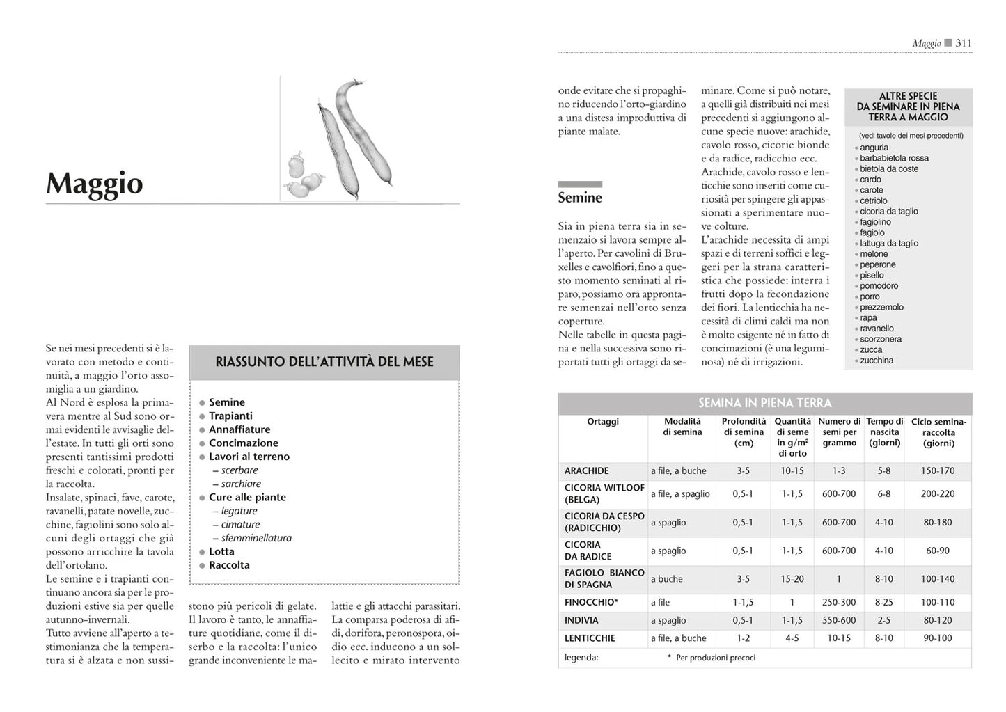 Il maxi libro dell'Orto. Come progettare, organizzare e curare il tuo orto