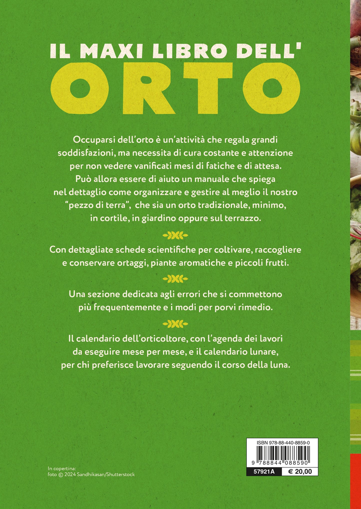 Il maxi libro dell'Orto. Come progettare, organizzare e curare il tuo orto