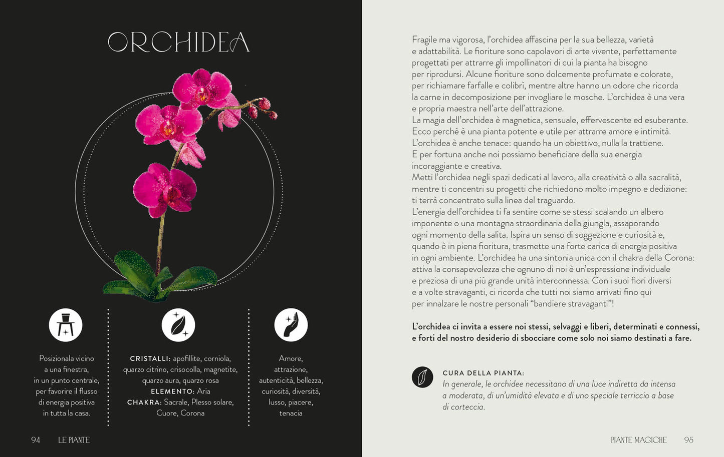 Piante magiche. Trasforma la tua vita con l’energia positiva della Natura