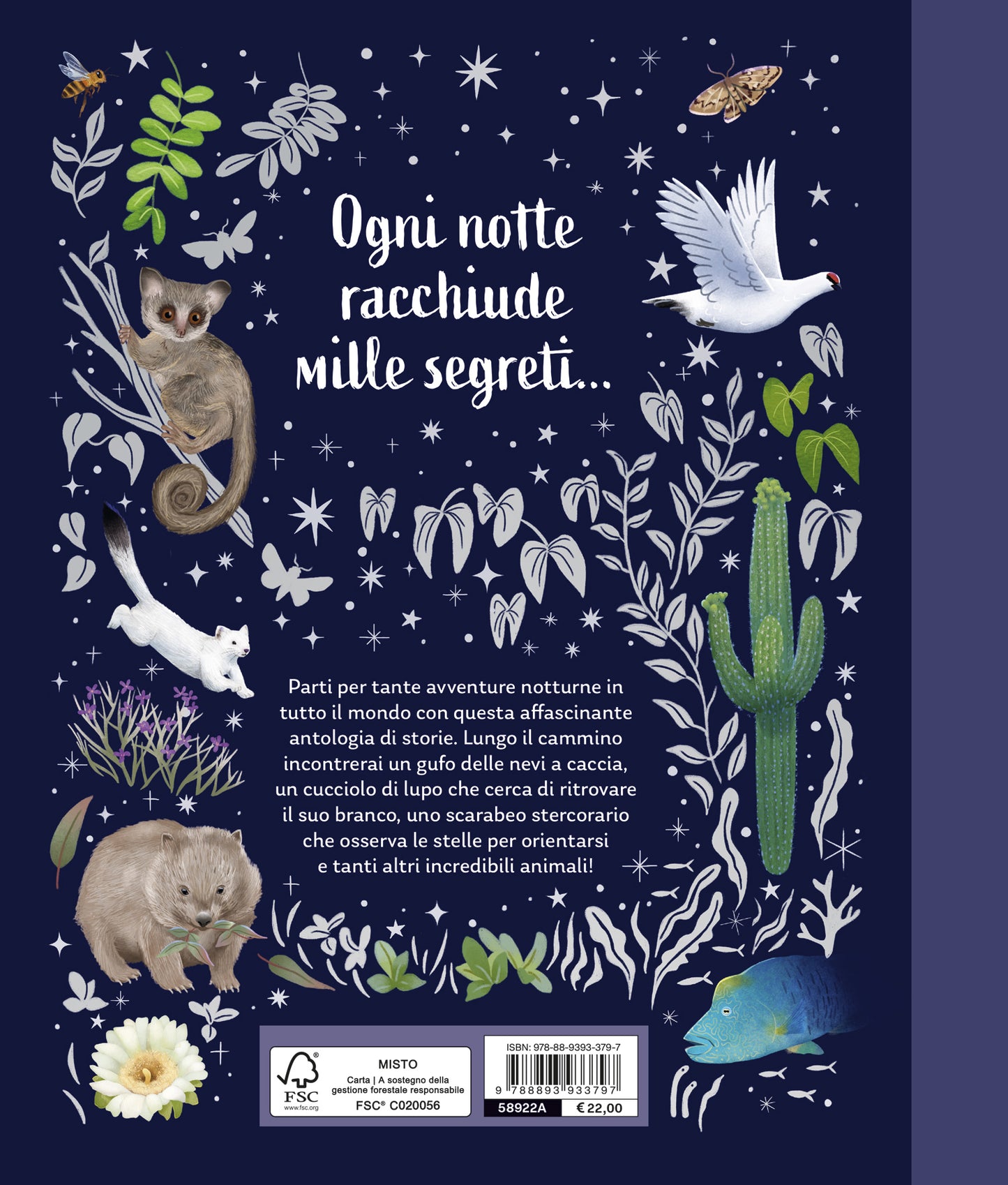 I segreti della notte. Storie della buonanotte per scoprire la natura