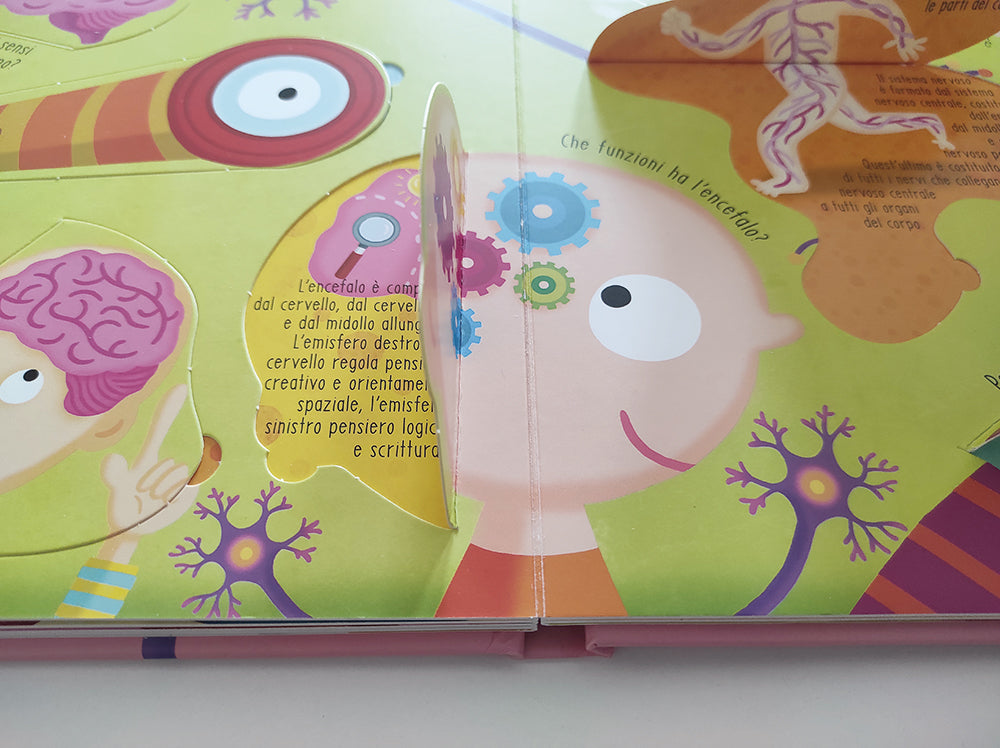 Il corpo umano. Solleva le alette e trova le risposte!