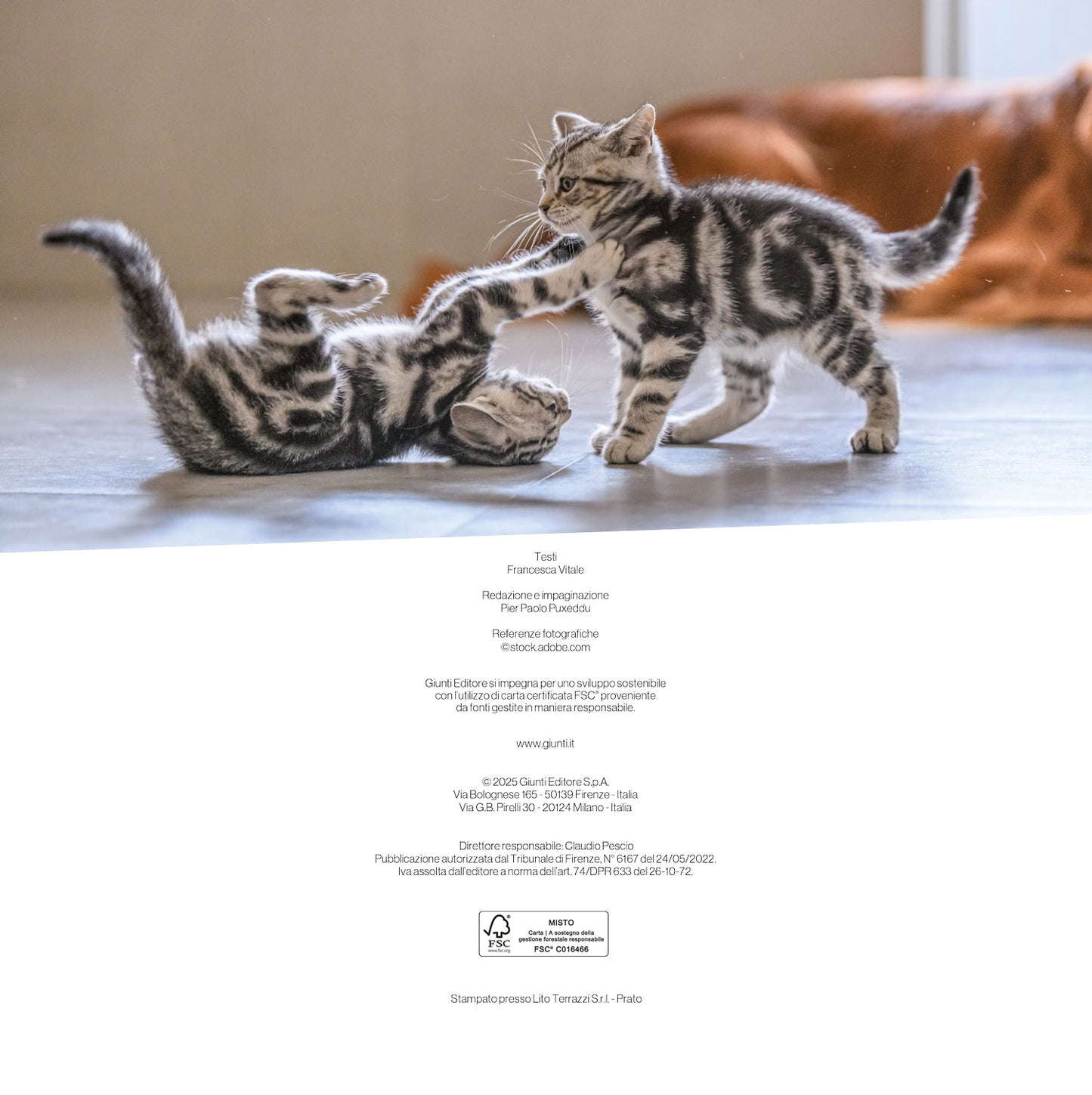 CALENDARIO GATTI  2026 da parete (30 x 30 cm)