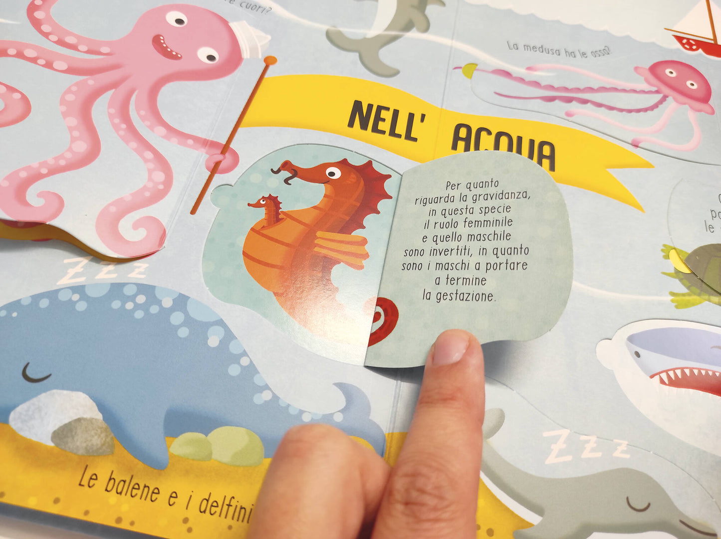 Animali. Solleva le alette e trova le risposte!