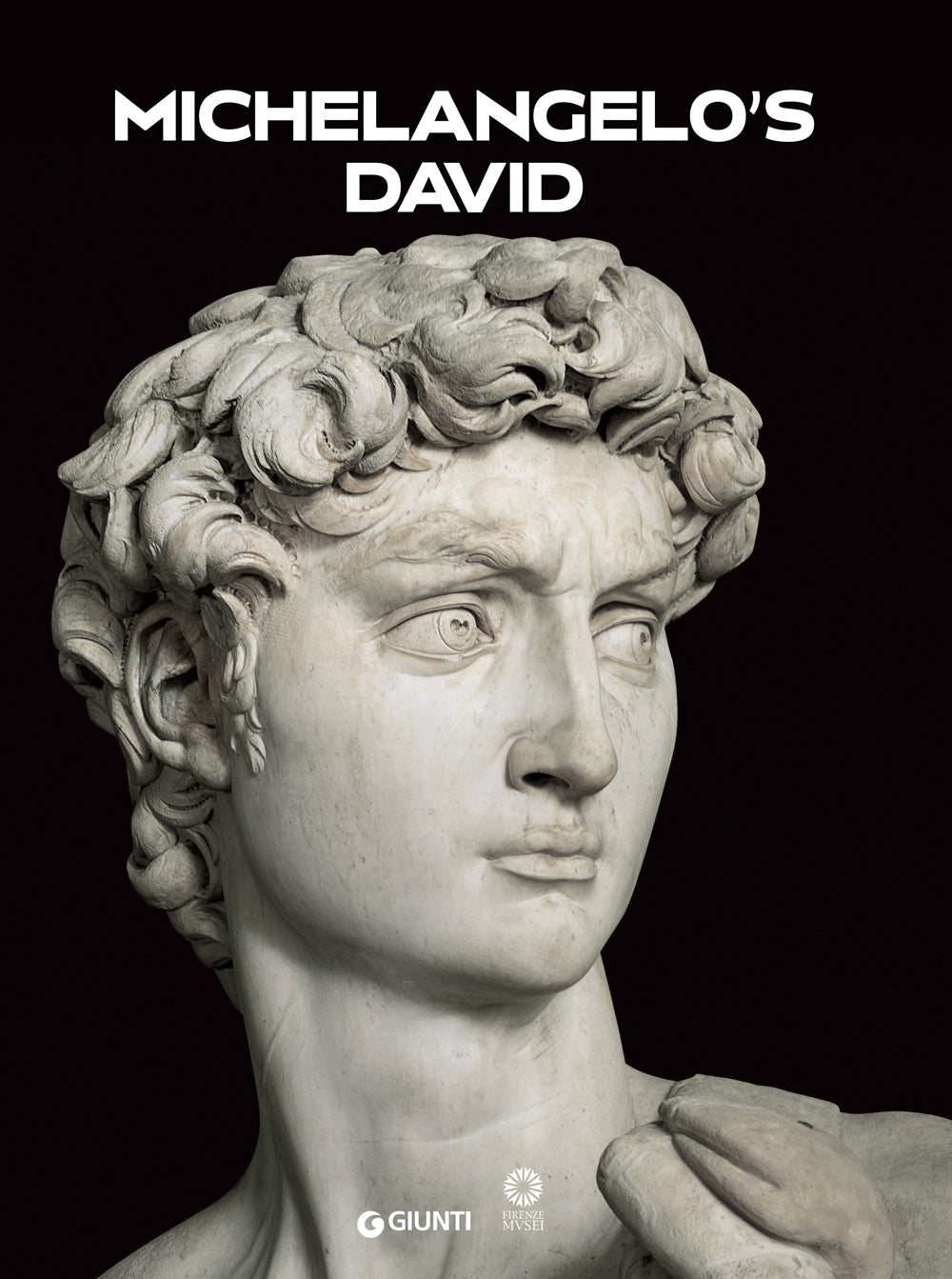 Michelangelo's David