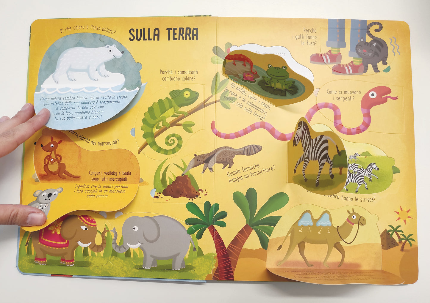 Animali. Solleva le alette e trova le risposte!