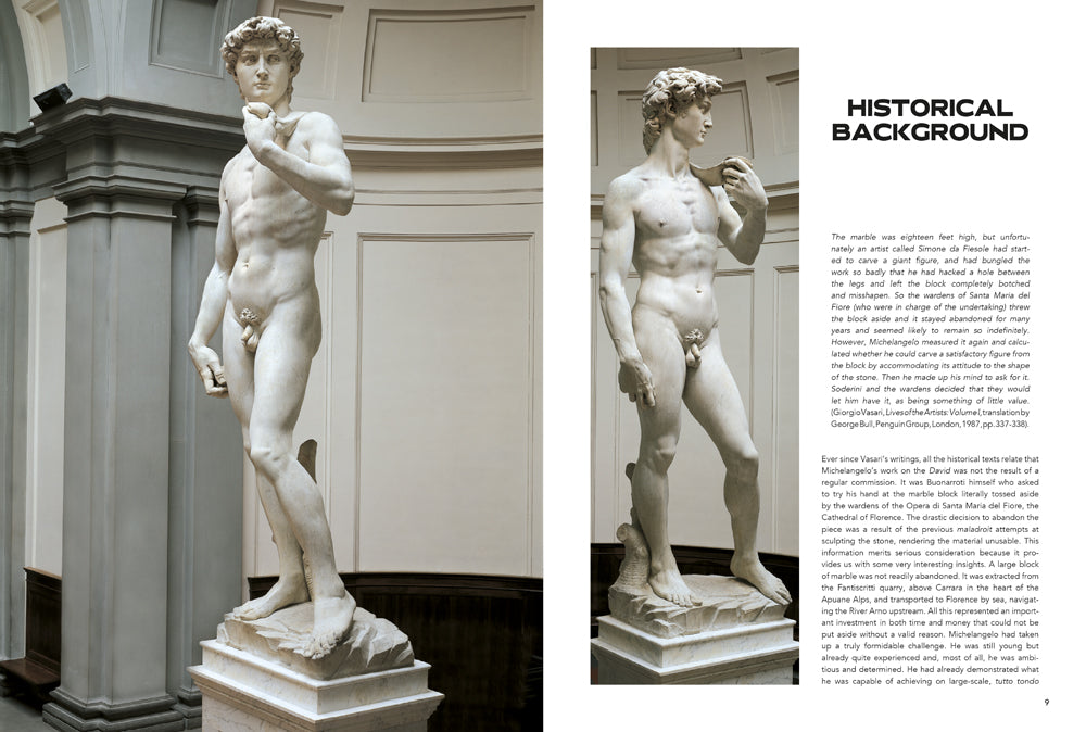 Michelangelo's David