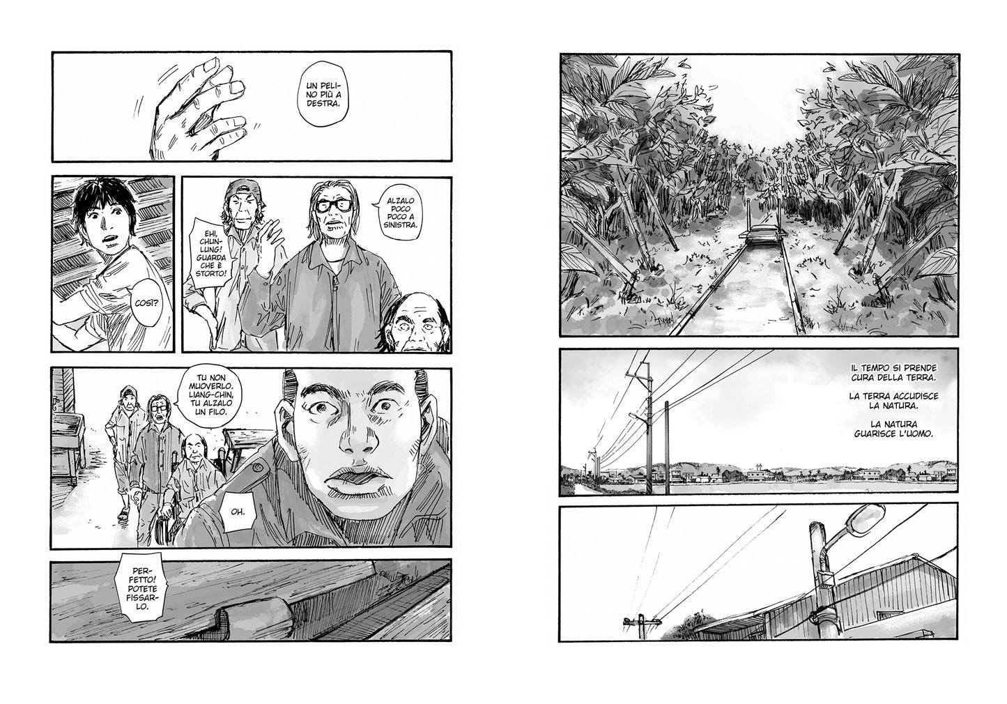 THE CORNER STORE VOL. 2